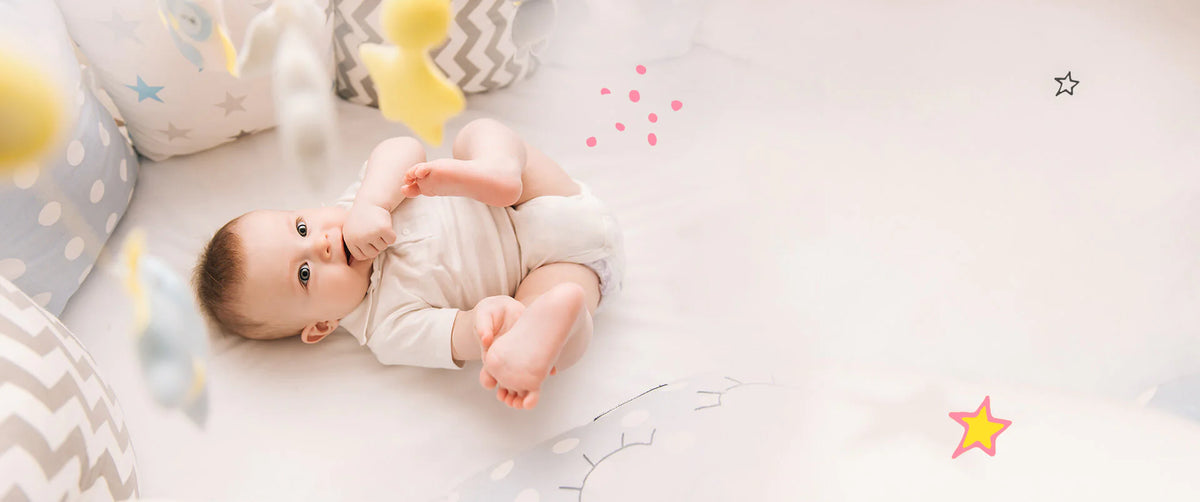 banner2.webp